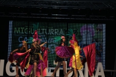 carnival-miguelturra-costumes-museum-2019