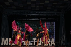 carnival-miguelturra-costumes-museum-2019
