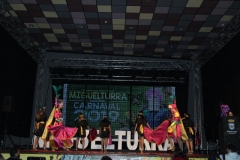carnival-miguelturra-costumes-museum-2019