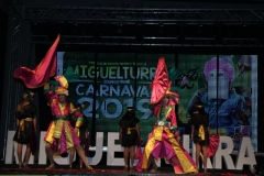 carnival-miguelturra-costumes-museum-2019