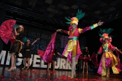 carnival-miguelturra-costumes-museum-2019
