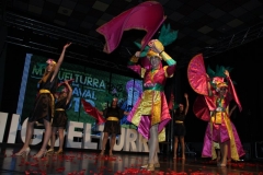 carnival-miguelturra-costumes-museum-2019