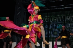 carnival-miguelturra-costumes-museum-2019