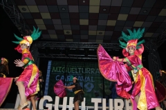 carnival-miguelturra-costumes-museum-2019