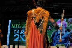 carnaval-miguelturra-trajes-museo-2019