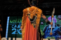 carnival-miguelturra-costumes-museum-2019