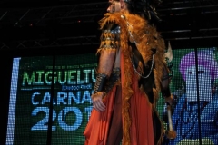 carnival-miguelturra-costumes-museum-2019