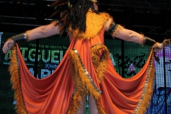 carnival-miguelturra-costumes-museum-2019