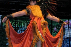 carnival-miguelturra-costumes-museum-2019