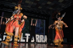 carnival-miguelturra-costumes-museum-2019