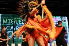 carnaval-miguelturra-trajes-museo-2019