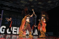 carnival-miguelturra-costumes-museum-2019
