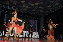carnival-miguelturra-costumes-museum-2019