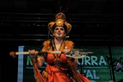 carnival-miguelturra-costumes-museum-2019