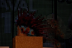 carnival-miguelturra-costumes-museum-2019