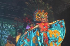 carnival-miguelturra-costumes-museum-2019