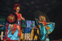carnival-miguelturra-costumes-museum-2019