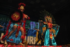 carnival-miguelturra-costumes-museum-2019
