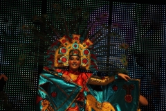 carnival-miguelturra-costumes-museum-2019