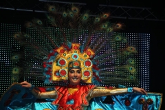carnival-miguelturra-costumes-museum-2019
