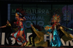 carnival-miguelturra-costumes-museum-2019