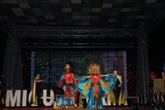 carnival-miguelturra-costumes-museum-2019