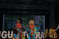 carnival-miguelturra-costumes-museum-2019