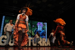 carnaval-miguelturra-trajes-museo-2019