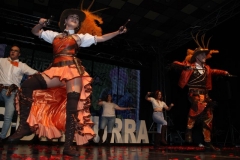 carnaval-miguelturra-trajes-museo-2019