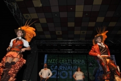 carnaval-miguelturra-trajes-museo-2019