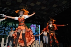 carnaval-miguelturra-trajes-museo-2019