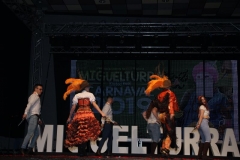 carnaval-miguelturra-trajes-museo-2019