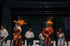 carnaval-miguelturra-trajes-museo-2019