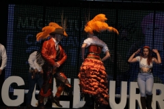 carnaval-miguelturra-trajes-museo-2019