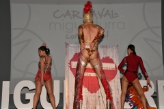 carnival-miguelturra-costumes-museum-2020