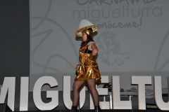 carnival-miguelturra-costumes-museum-2020