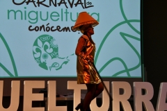 carnival-miguelturra-costumes-museum-2020