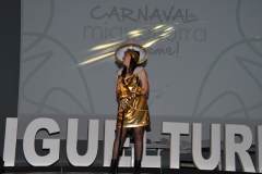 carnival-miguelturra-costumes-museum-2020
