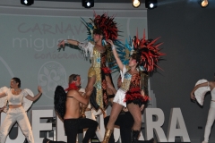 carnaval-miguelturra-trajes-museo-2020