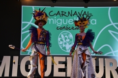 carnaval-miguelturra-trajes-museo-2020