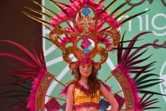 carnaval-miguelturra-trajes-museo-2020