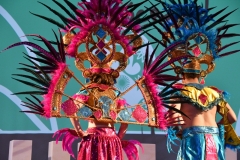 carnival-miguelturra-costumes-museum-2020