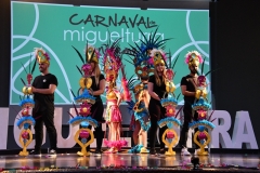 carnaval-miguelturra-trajes-museo-2020