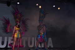 carnival-miguelturra-costumes-museum-2020