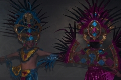 carnival-miguelturra-costumes-museum-2020