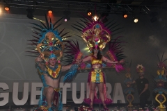 carnival-miguelturra-costumes-museum-2020
