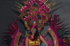 carnival-miguelturra-costumes-museum-2020