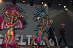 carnival-miguelturra-costumes-museum-2020