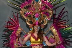 carnival-miguelturra-costumes-museum-2020