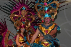 carnival-miguelturra-costumes-museum-2020